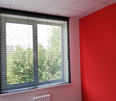 рольшторы день